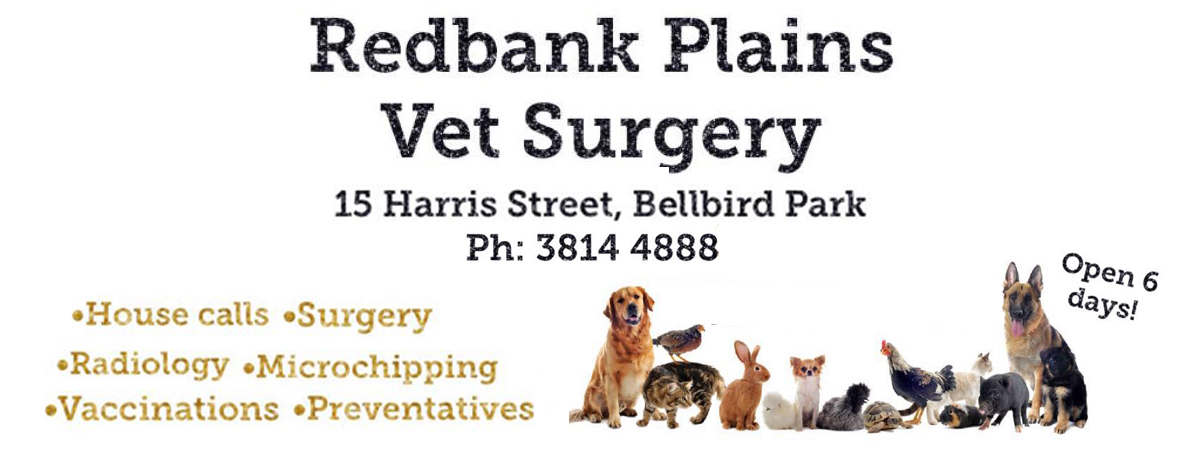 north park veterinary clinic